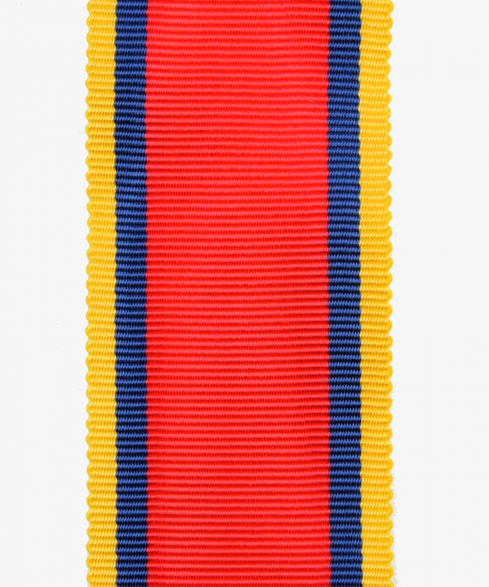 Oldenburg, commemorative medal for the 1866 campaign (193)